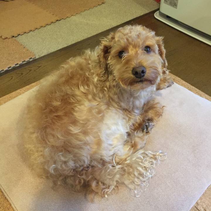 8e52a90a 656c 46a5 bf47 ddca0e5ec9a7 1513291128536