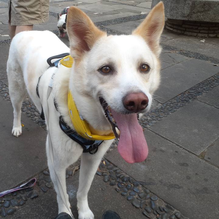 8e52ccc7 3228 4555 ad6a de6e792c8fc4 1656718773040