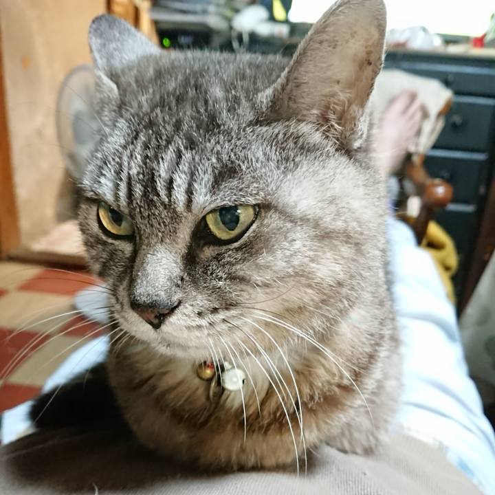 8e52ed10 b7be 40c6 b468 b0bfac4ced3b 1568891976348