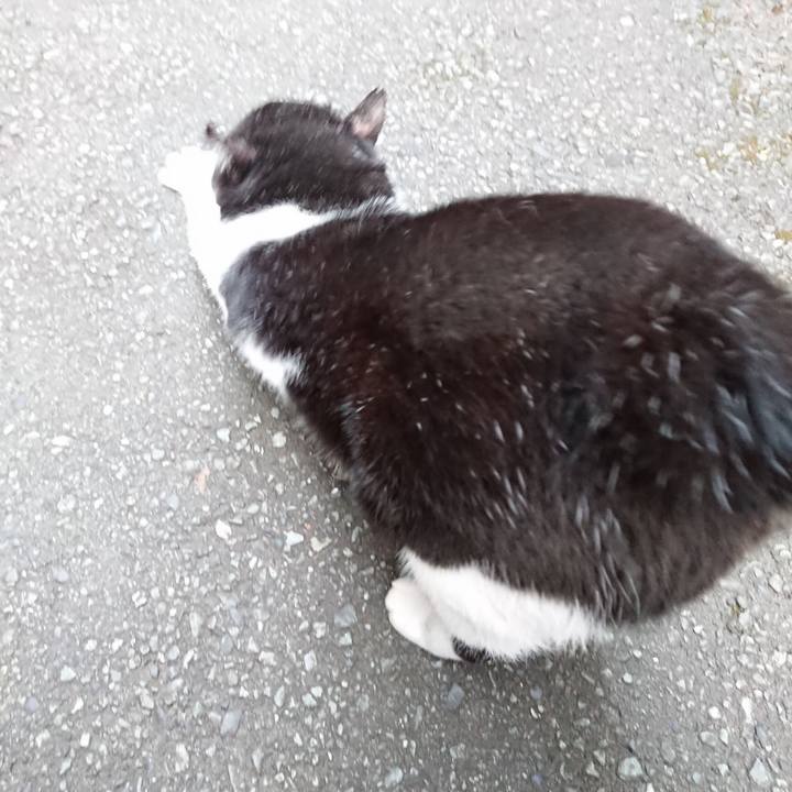 8e52f87f 3d75 4c9c a401 e2a2c869378c 1663794136405