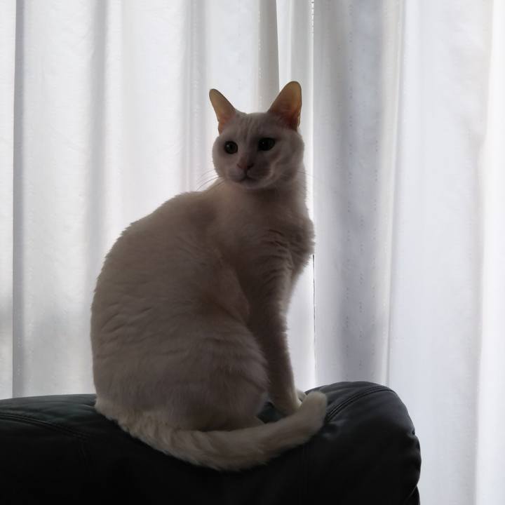 8e532097 39a9 4918 9702 e8ee09897535 1580690434910