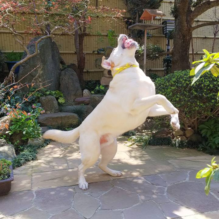 8e53a107 f712 4b9c 9251 b15dcbc09fc0 1585967637304