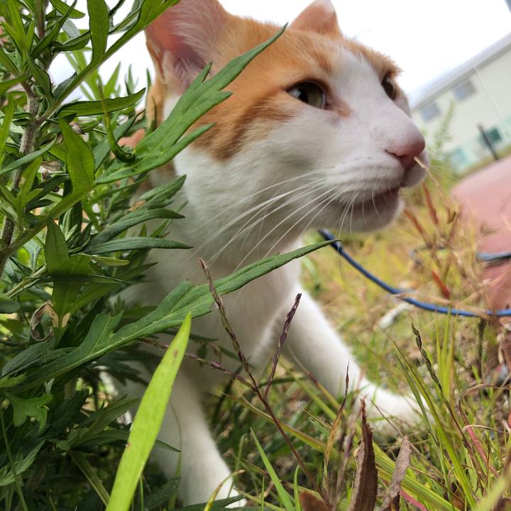 8e53ac41 4bb7 42b1 84f0 076db15fe820 1539999938556