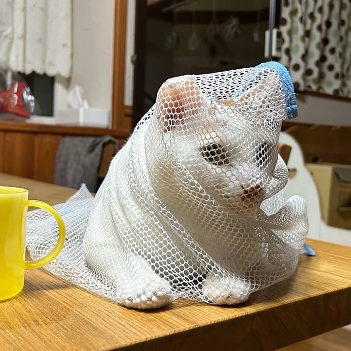 8e53af47 dac7 4bac a7d5 83ebb35cf847 1679668297041