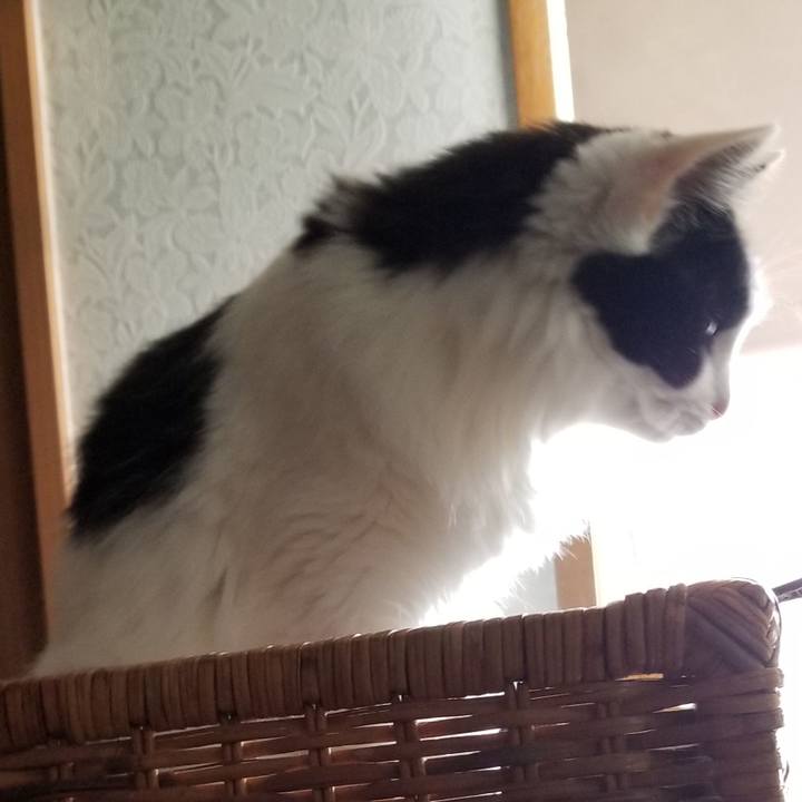 8e53c4d0 da49 46bc be71 dbc2b2d7cbaa 1597797505567