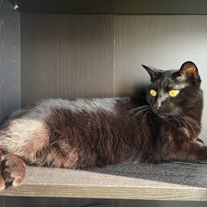 8e53cdb3 866b 445f 9c74 f7f60bf2726e 1737858316928