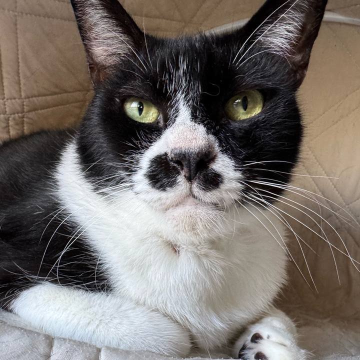 8e53d13d 579c 4dab b168 f8efa713a0f2 1754100866874