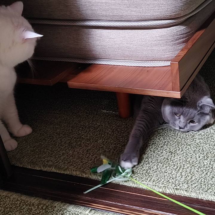 8e53fbba 8a8e 4def 9cbb 1302ff747fb1 1673358650802