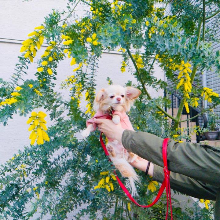 8e544e76 c5e8 4ff2 a4ad c821294e5142 1647231921388