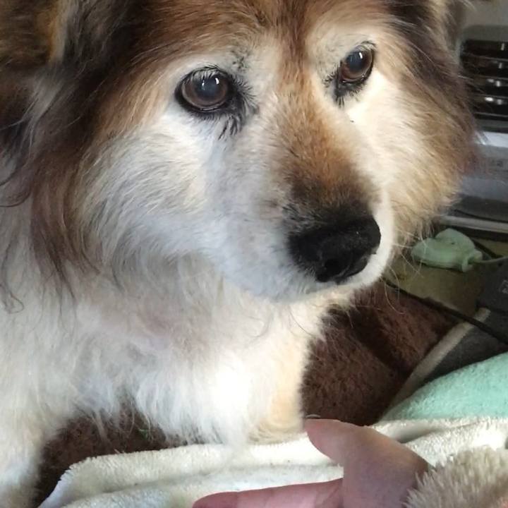 8e5454e6 d9b5 4376 a5d0 de107efef32a 1627797959917