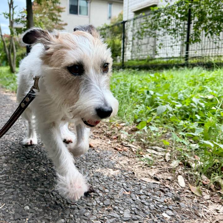 8e545919 7d5e 4826 a153 18a5c96ce453 1759984617442