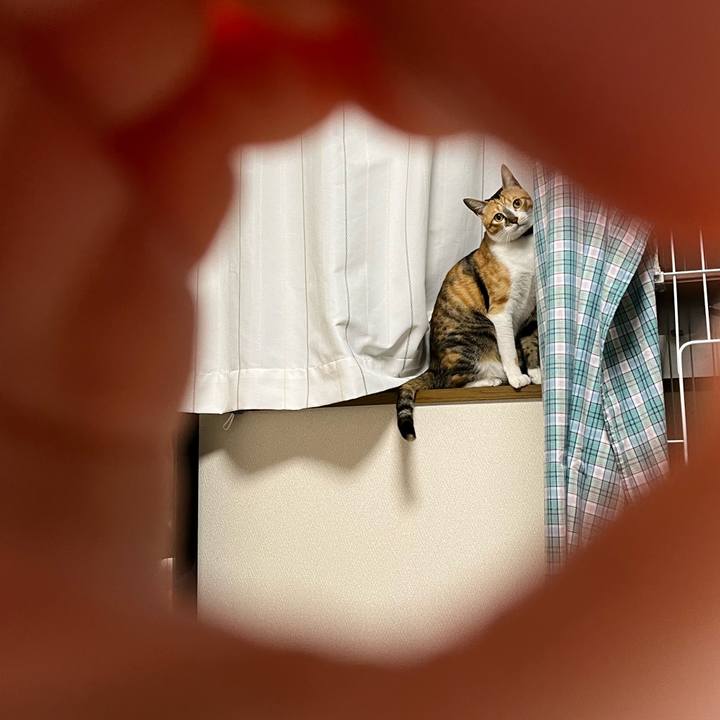 8e545a3e cfa8 444c 9c2f c091cfcbb499 1708089878956