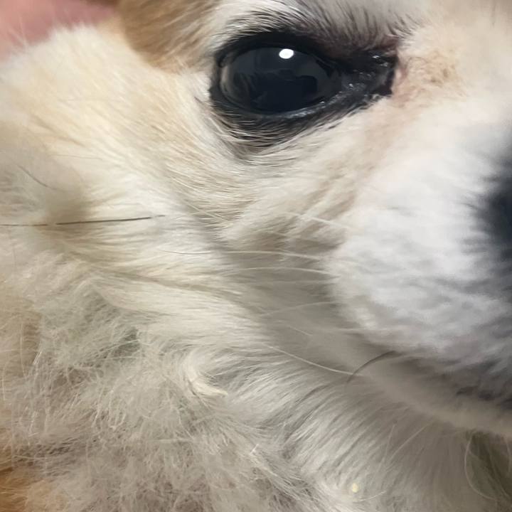 8e548a97 3f8e 40ec 95d1 75fb7404da94 1770557569712