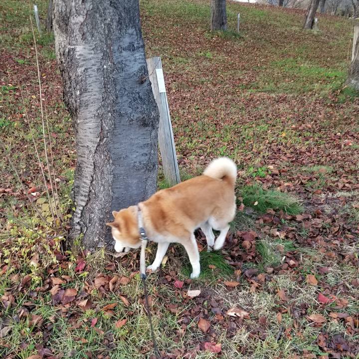 8e54b556 0429 4eef bb1a 7ac847f7eec1 1667978499001