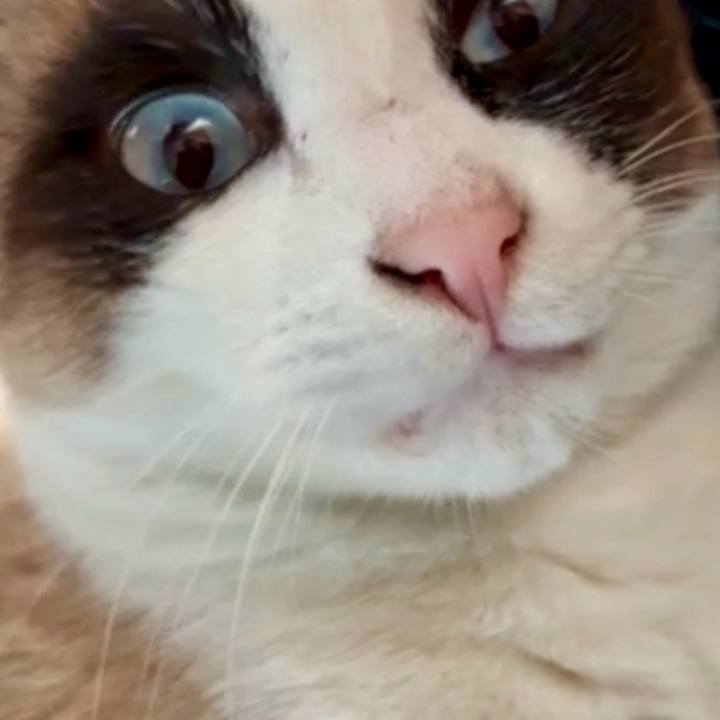 8e54c1cc ab70 4947 a6c0 921245421358 1772680940961