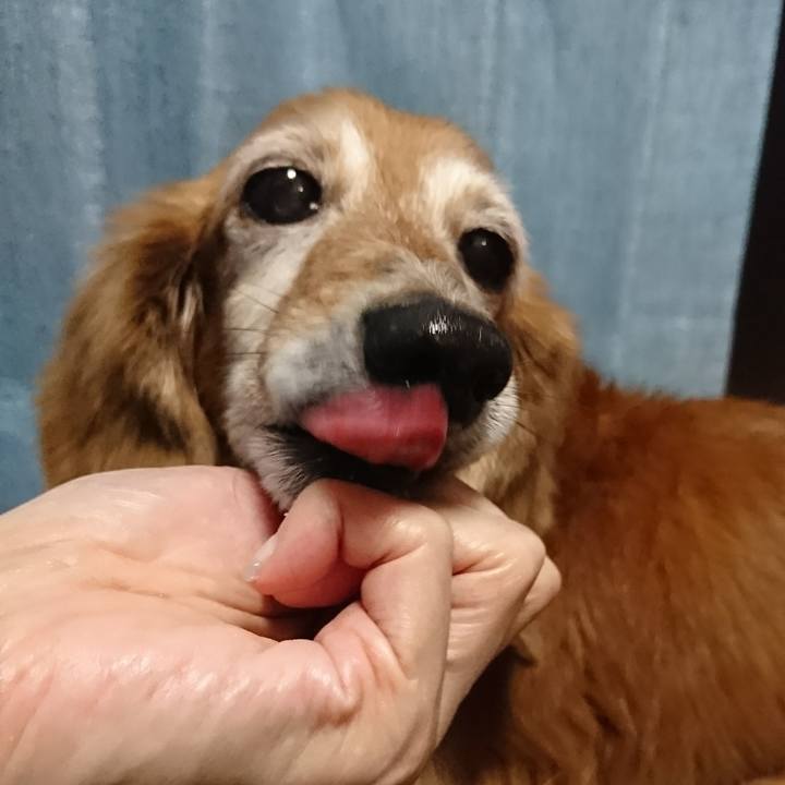 8e54c20c bd5e 4fca a3e0 3c1f443c4472 1510652756501