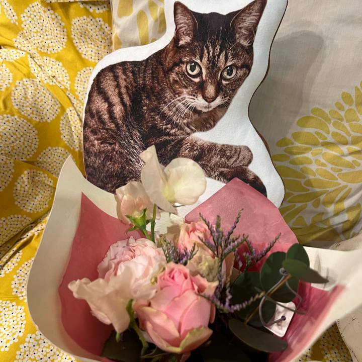 8e5507a1 c42a 4dda 8942 d31c614cd116 1766575751037