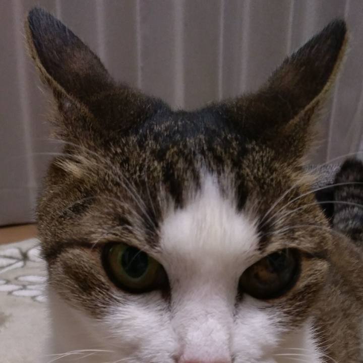 8e551b61 3cdb 4828 ab25 20dbfb389ac4 1525088498641