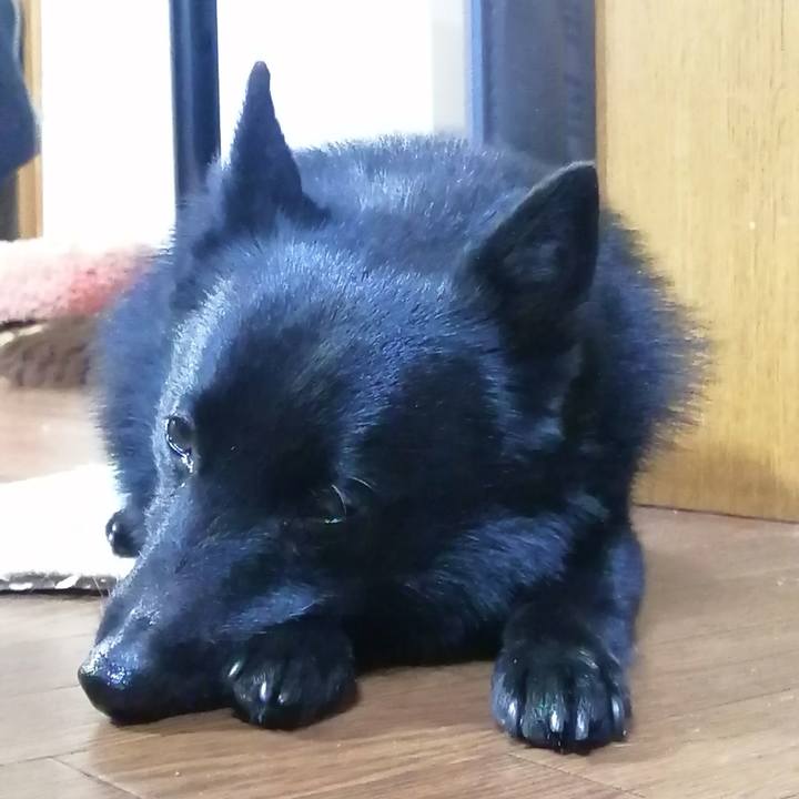 8e554a40 ac26 4c60 892f c3916414bb82 1669154613643