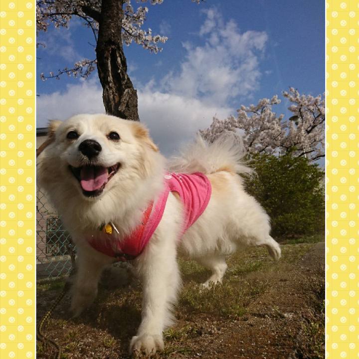 8e55e3e4 c3d7 4206 b313 135fc345394f 1522804682056