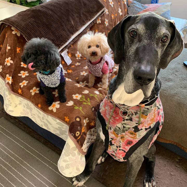 8e56050d c450 4036 9782 458a2b60dd5f 1611181943924