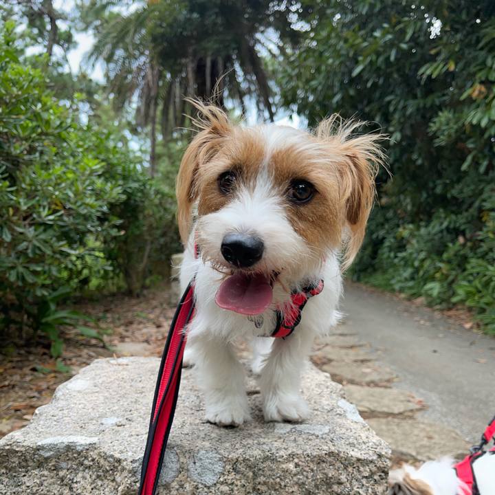 8e560bc1 8a92 4daa a268 6bbe03a0f17b 1759916807819