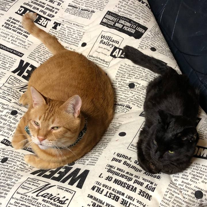 8e5618b0 6b8c 4f37 bbab 2e0cfc11f747 1557655002168