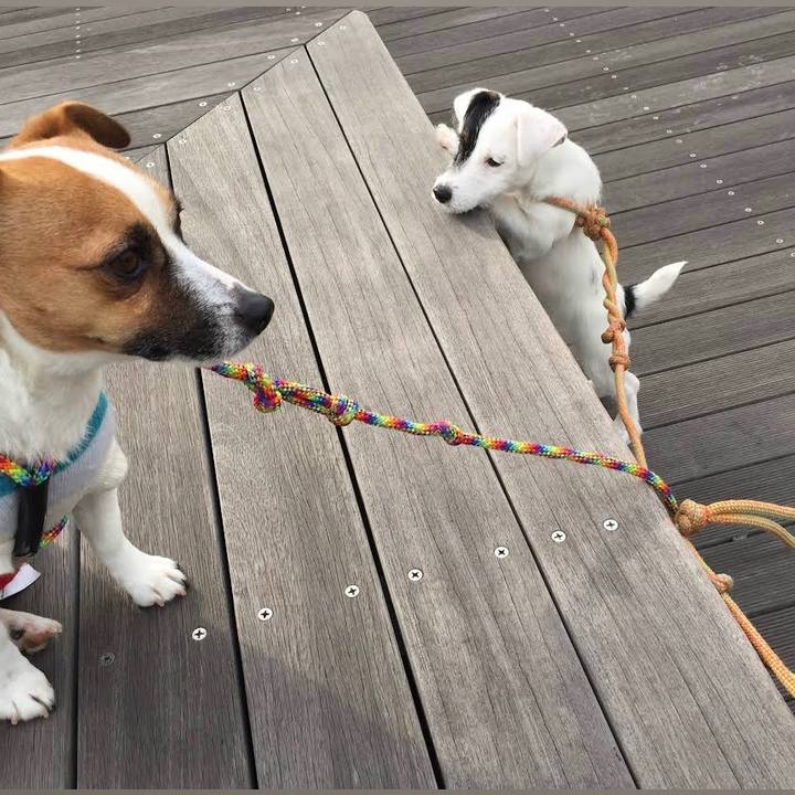 8e5628ba e946 490d a8f4 60f0bd189c26 1677929730440