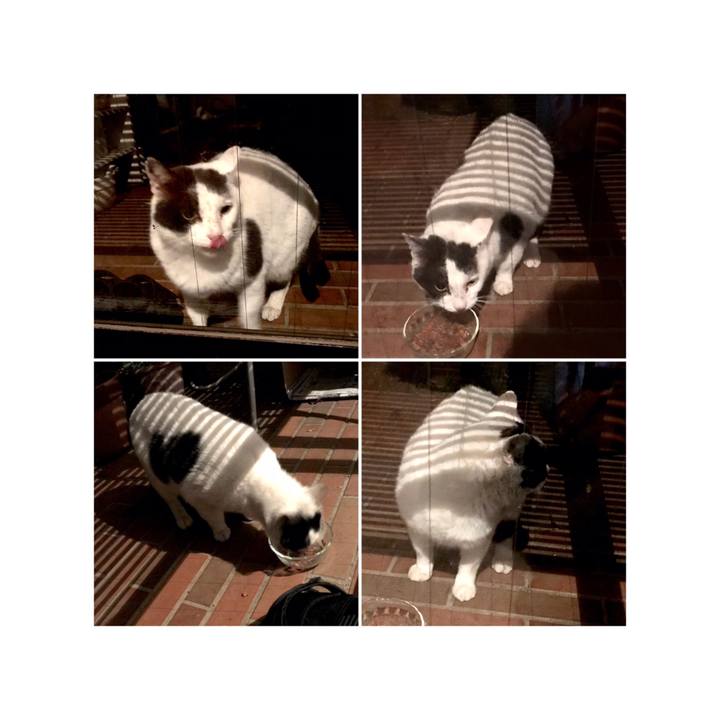 8e562912 5d40 4fb4 8c5d f82df541dd75 1638534864390