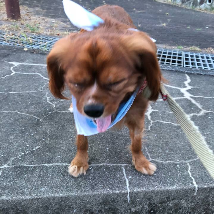 8e562dbc 462a 4c5a bd24 65f9dd72a63e 1532433937778