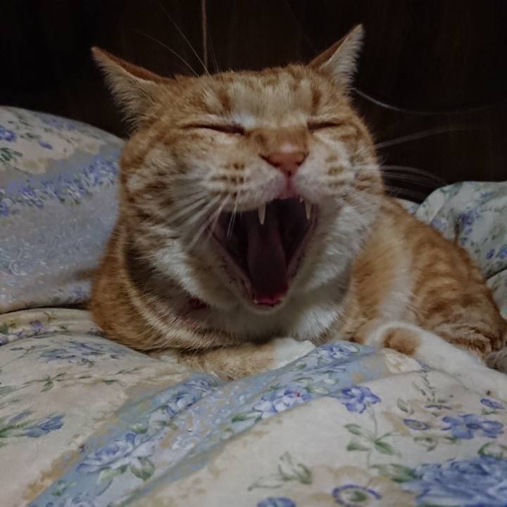 8e5640fe 901a 4c65 9e74 889ebfaa3e14 1578914171807