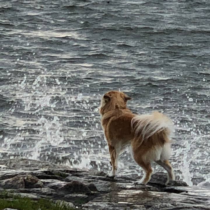 8e56880b 99f1 4898 bf26 07d7007eadb4 1585478100813