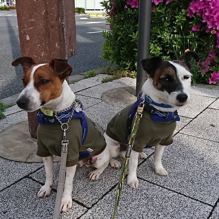 8e568cbf 6fd0 455e 9c04 652b3d769020 1556833695194