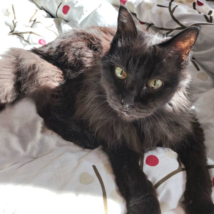 8e569e24 f684 490b b7d5 6c17ee50d2b7 1764050572537