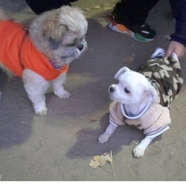 8e56c86a 7eaf 466a b22c 043ae7f5b160 1766205778728