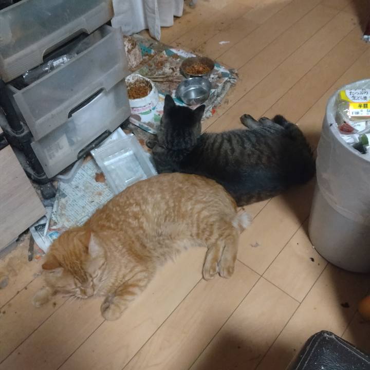 8e56cd53 6de1 48bc bc7e e60679d3be85 1756720063156