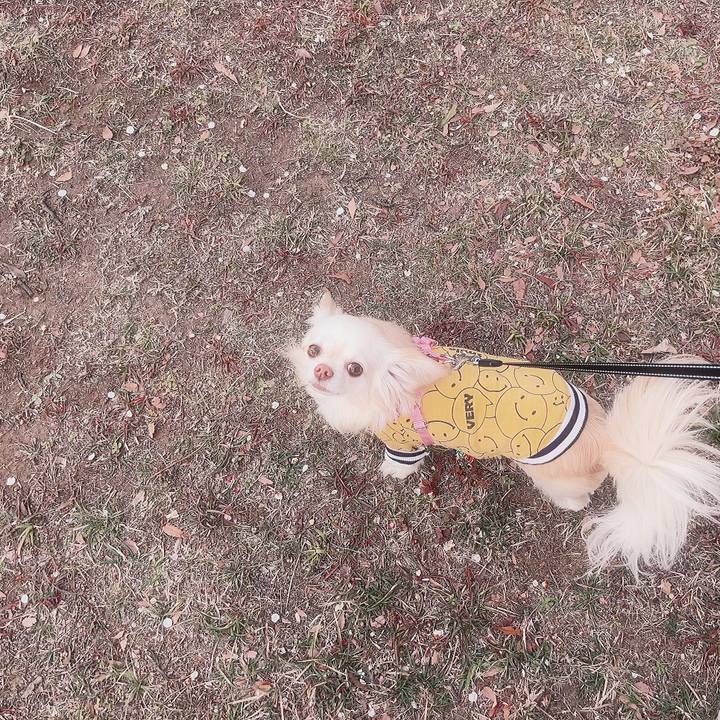 8e56d089 6820 4c60 ac27 e29947424a24 1708152766081