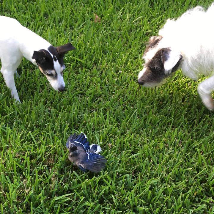 8e570a7f 42c2 45d8 ad87 c158cbc27a54 1563317254446