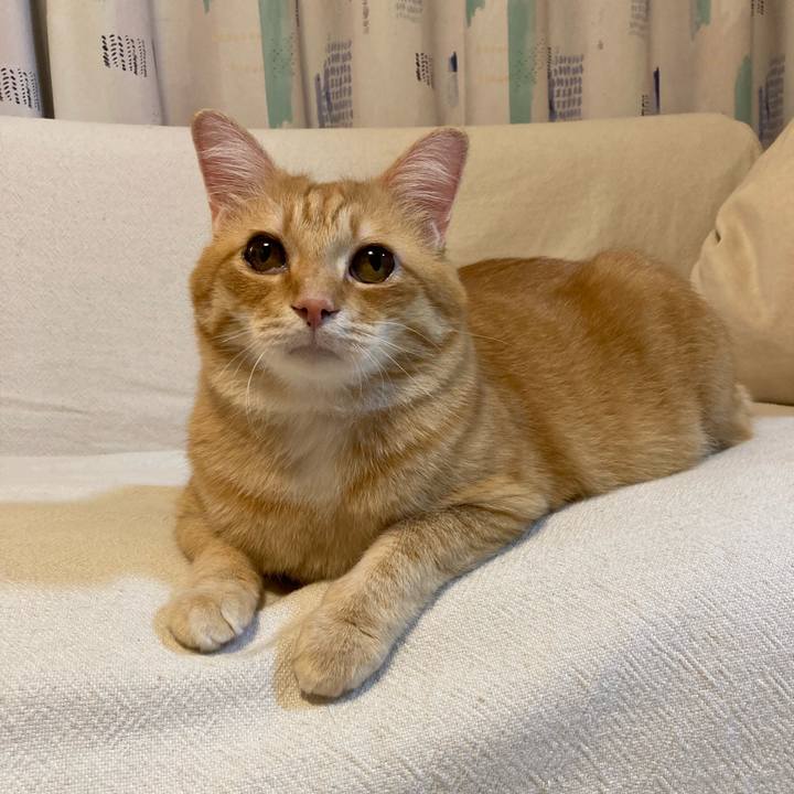 8e571eb1 d5d1 4e3f 954e 0420b67b6017 1757930420789