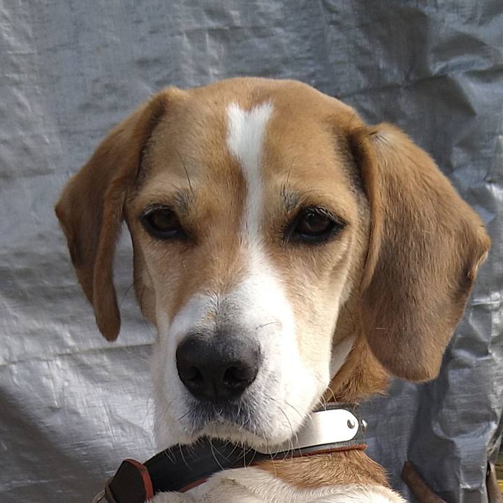 8e5757b5 d275 4774 adad 99c72e1e054f 1639487066383