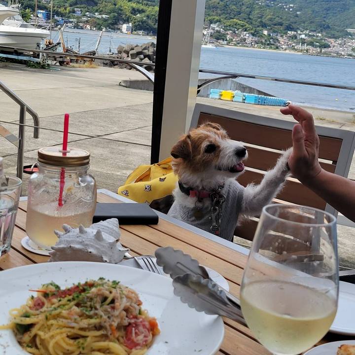 8e577a5f e6bd 4e4d a004 4cc0f6c829ff 1729315058332