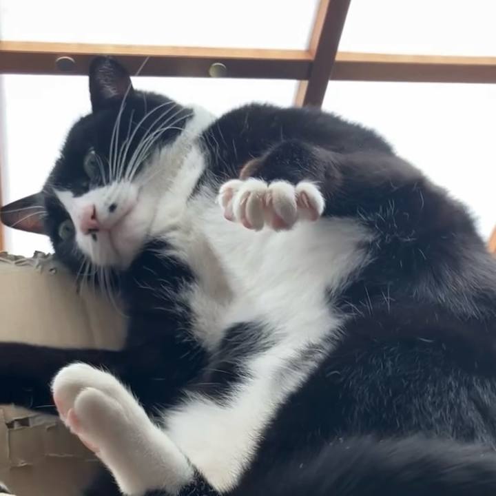 8e57ea61 e310 4c99 856d c0fbe6fd6f63 1735016262506