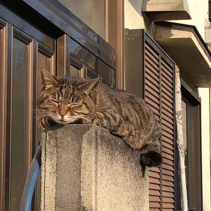 8e584118 c61e 4857 be9a 2cc70bdaeb5e 1519719270748