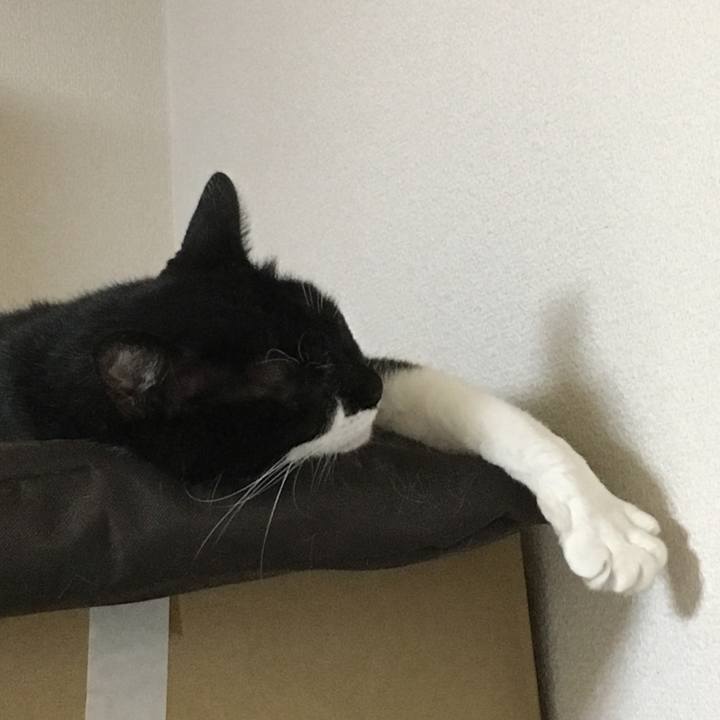 8e586b95 bf9e 43f6 b8e4 93adbcac0ff4 1536502845368