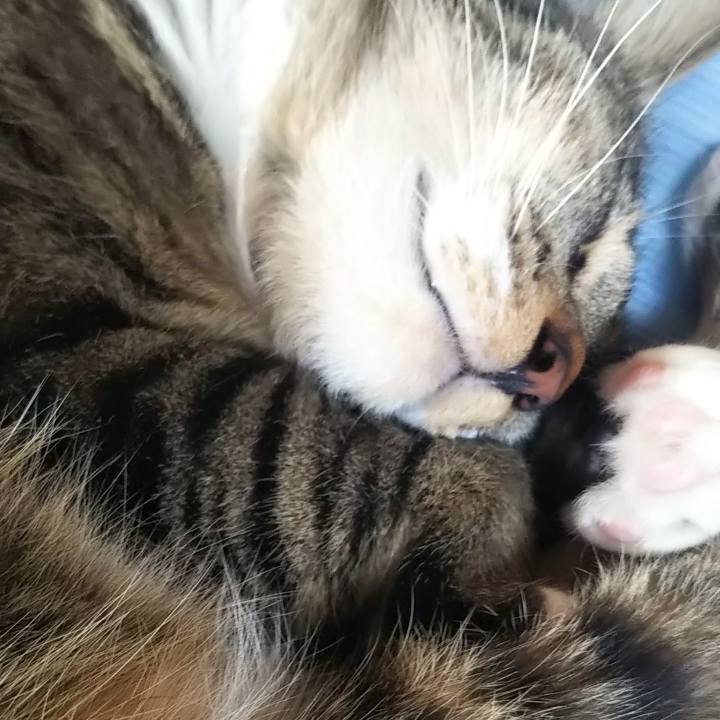 8e58a199 ad53 4ae7 b876 7be23ecf7177 1632102422278