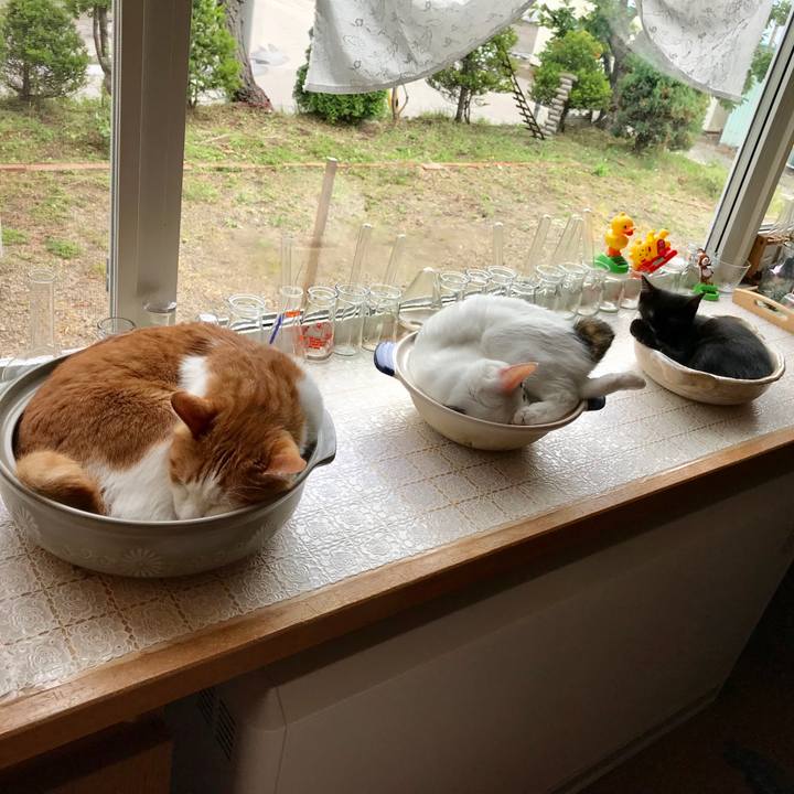 8e58b119 6334 4299 aacd d55a54609eb0 1564203055497