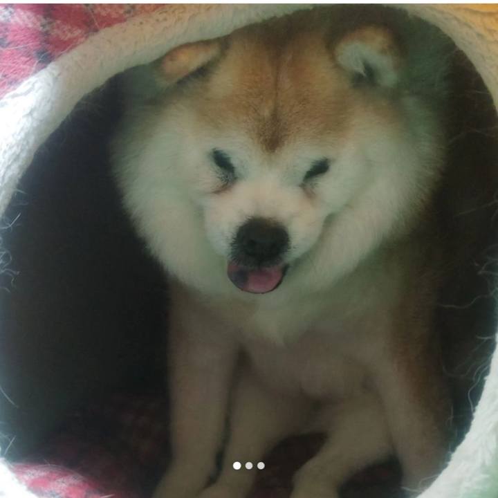 8e58c7fa f717 4984 b455 f47ba4e4b688 1705748447058