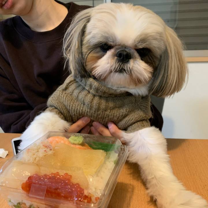 8e58fbee 86a4 4299 a16c 579384478bac 1640778672796