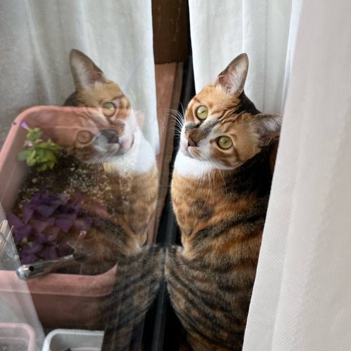 8e590e5a eef9 4293 adbd 26099babb95f 1697580474795