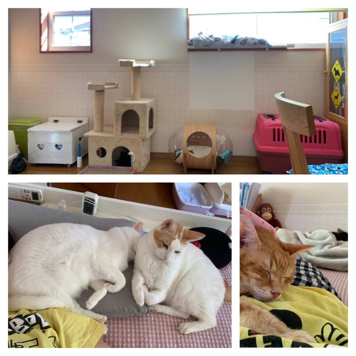 8e591fbe b5da 40ce 8f6f 09bf6c79ef40 1635035456814